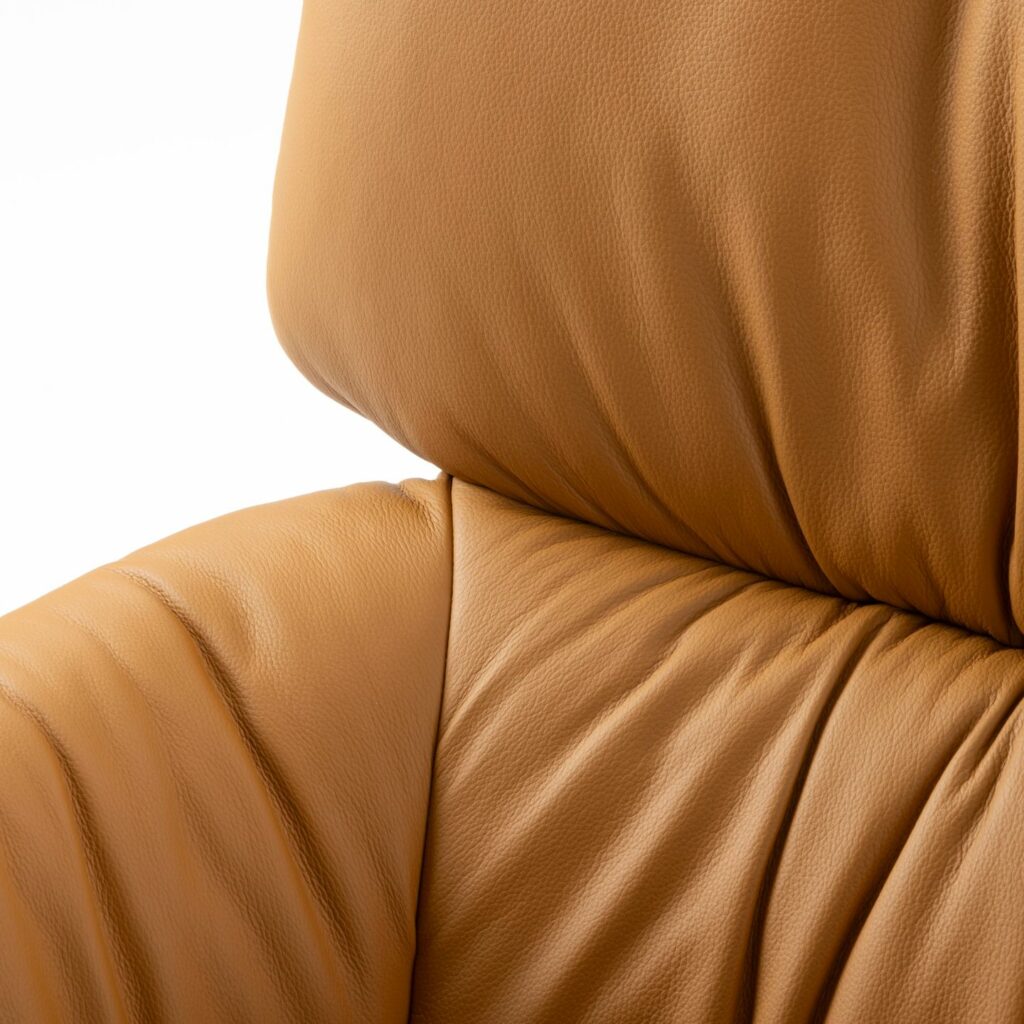 Leolux Sessel Lodey Bezug Details
