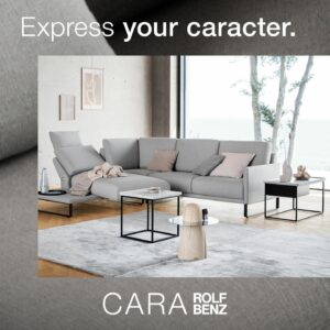 Rolf Benz Sofa Cara