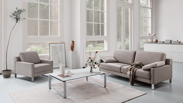 Rolf Benz Ego Sofa Leder braun