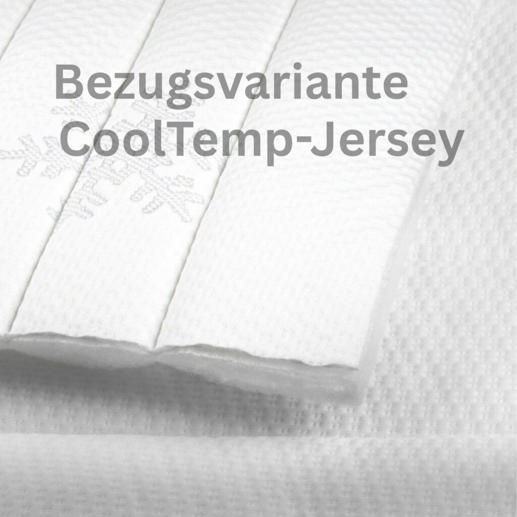 Werkmeister Bezug CoolTemp-Jersey