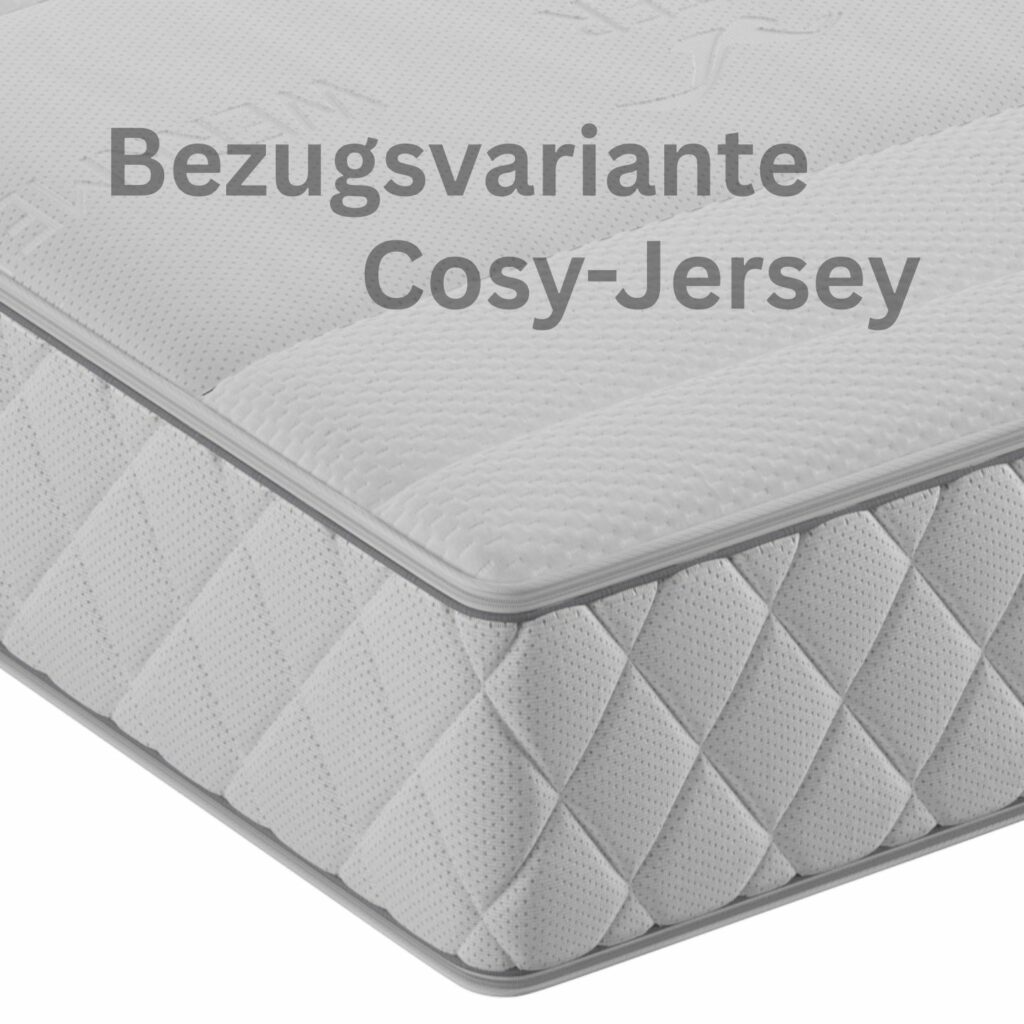 Werkmeister Bezug Cosy-Jersey
