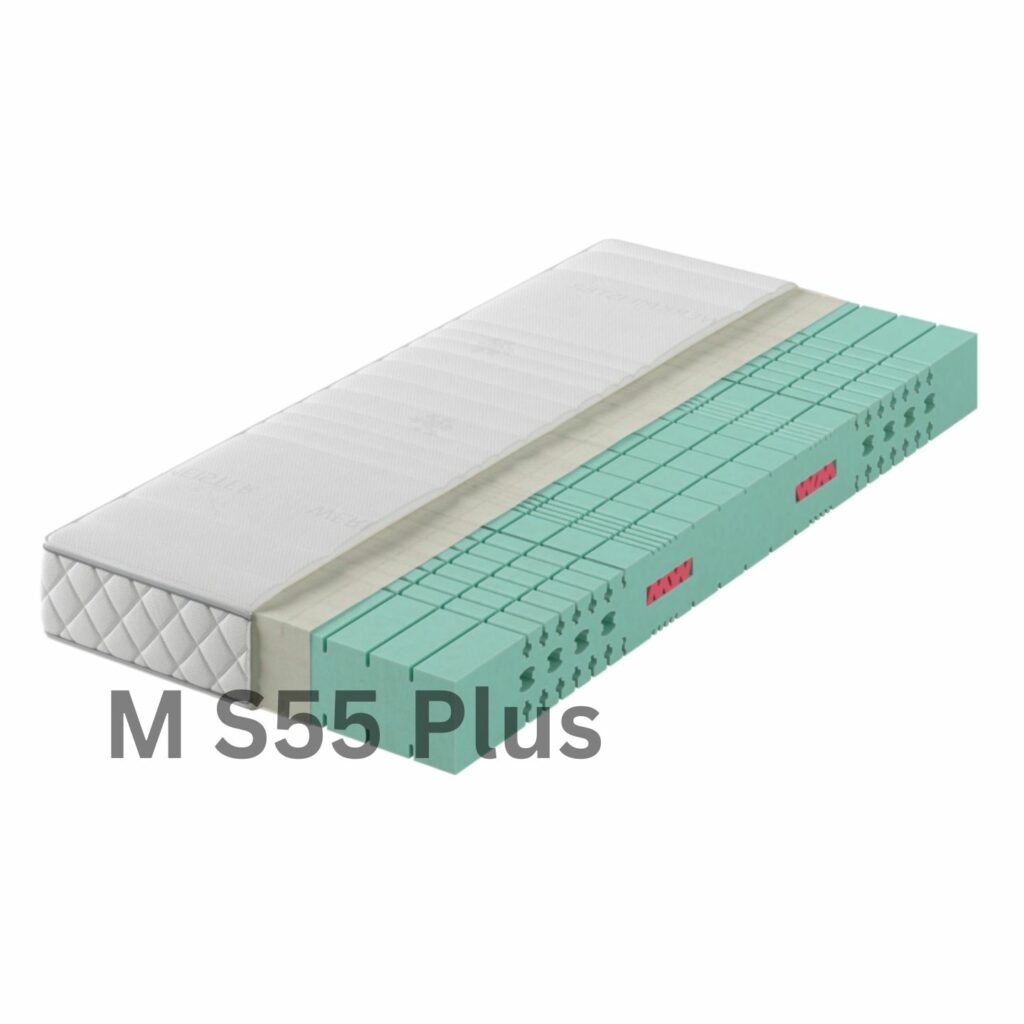 Werkmeister Kaltschaummatratze S55 Plus